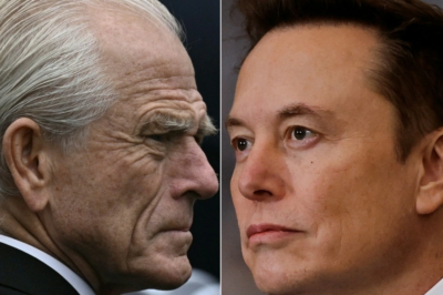 Elon Musk harshly criticizes the White House Trade Advisor