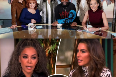 ‘The View’ Hosts In Hot Water After ABC Gives Them This Warning