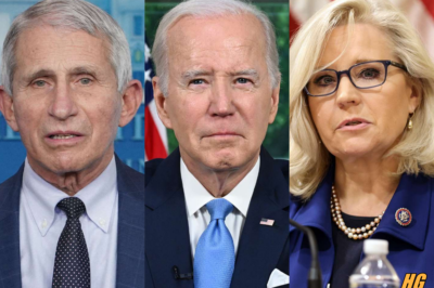 Biden Pardons For Cheney, Fauci, Others Could Backfire: Legal Expert