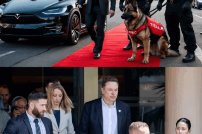 Elon Musk’s New $1 Billion Personal Bodyguards SCARED Americans