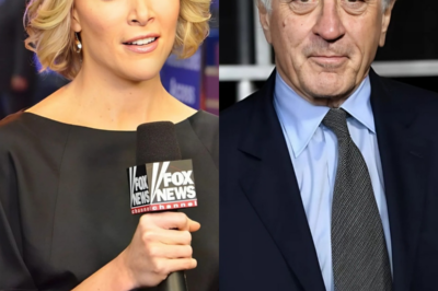 Megyn Kelly criticized Robert De Niro, calling him “stupid” in a heated exchange. Robert De Niro responded in sh0ck.