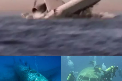 NASA Footage Unveils Something MYSTERIOUS Flying Around Missing Flight MH370.8386