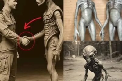 OMG! Sh0cking UFO and Alien Encounter Reports from the 1920s Revealed