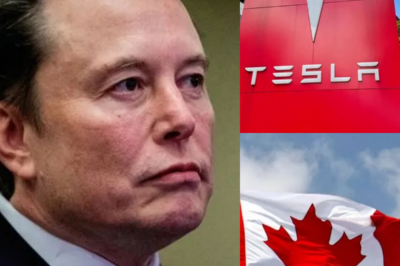 5 MINUTES AGO: Canada makes a bold decision to shut down Tesla and the U.S. auto industry – Elon Musk responds with a shocking 9-word message, revealing a hidden truth that leaves the world stunned.