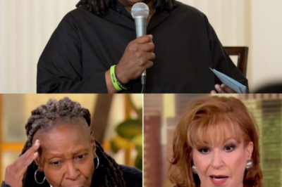 BREAKING: Joy Behar and Whoopi Goldberg EXIT The View as ABC Cancels Contracts Amid ‘Toxic’ Allegations—What This Shocking Move Means for the Show’s Future!