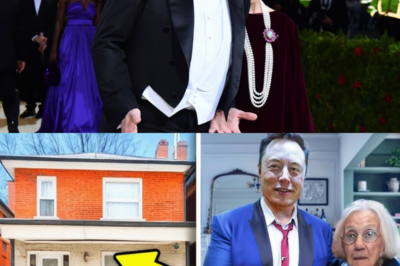 Elon Musk Steps In to Help 96-Year-Old Woman Keep Her Home