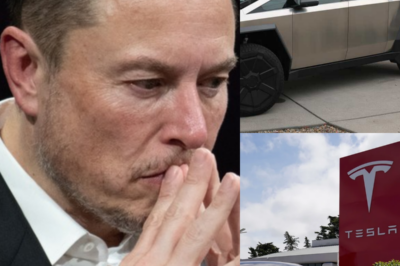 Elon Musk keeps getting bad news: Tesla car returns are at an all-time high, loyal customers are turning away, market share is at high risk of falling into the hands of competitors, and the amount of money Elon Musk has lost will leave you incredulous…