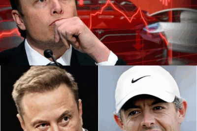 “YOU’RE NOT AS BIG AS YOU THINK!” Rory McIlroy fiercely rejected Elon Musk’s $10 million offer. This brutal decision left global media stunned, and Elon Musk’s unexpected reaction: “YOU WILL HAVE TO PAY THE PRICE” — left the world in shock