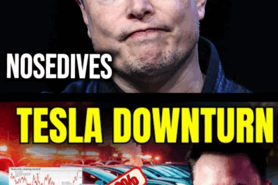 Tesla Loses $800,000,000,000 in Just Four Months, Prompting Furious Board to Hold Elon Musk Accountable for Historic Collapse
