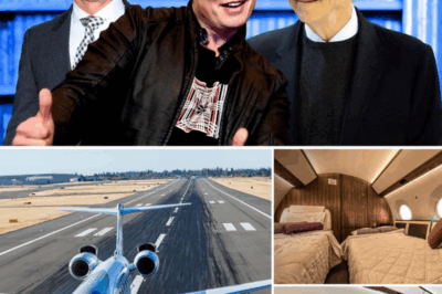 Looking’ at the $65 million plane of the world’s top billionaires Elon Musk and Bill Gates and Jeff Bezos: Near supersonic speed, private luxury cabin, Gulfstream G650ER is one of the fastest and longest-range commercial aircraft in the world