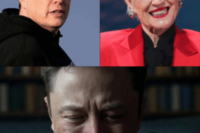 SAD NEWS: 15 Minutes Ago in Edmonton, Canada, at the Age of 77, Elon Musk’s Mother Just Announced Urgent News to Her Followers