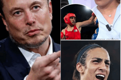 JUST IN: Elon Musk calls for a boycott of male athletes competing in women’s competitions and proposes massive penalties for cheating