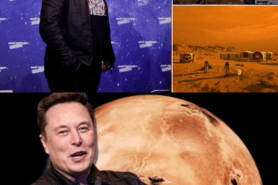 Elon Musk opens up about his plans for politics on Mars as he hopes to head there by 2031
