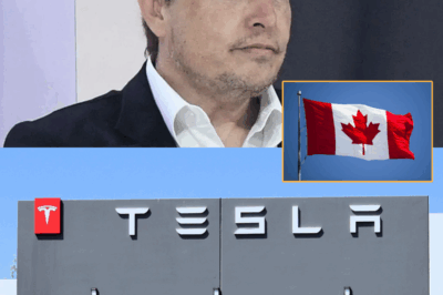 Elon Musk threatens to sue Canada after Tesla was caught out for ‘suspicious’ behaviour