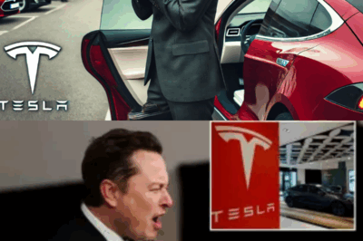 Elon Musk is overwhelmed by a series of bad news: the number of Tesla car returns has reached unprecedented levels, his most loyal customers are turning their backs on him, the market share risks falling into the hands of competitors, and the accumulated financial losses will leave anyone speechless.