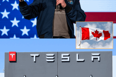Elon Musk threatens to sue Canada after Tesla was caught out for ‘suspicious’ behaviour