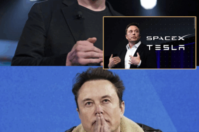 SH*CKING: Elon Musk Faces a Dire Crisis as Tesla Bleeds $800 Billion and X Drops $44 Billion—Legal Storms Brewing That Could Change Everything for the Tech Giant’s Future!