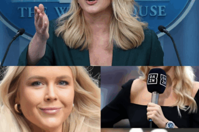THIS JUST HAPPENED: Reporter FIRED After Insulting Karoline Leavitt Live on TV—What Started as a Routine Interview Erupted Into Chaos When He Crossed the Line With a Disrespectful Remark, Triggering a Sharp, Unflinching Clapback That Left Viewers Stunned, Executives Scrambling, and Social Media Demanding Accountability in One of the Most Explosive On-Air Moments of the Year!