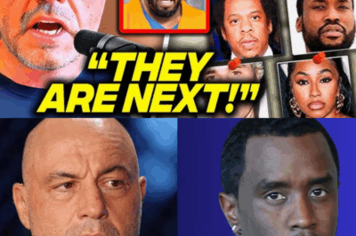 Joe Rogan just LEAKED the full list of celebrities allegedly tied to Diddy and now facing possible prison time—an explosive revelation that’s shaking Hollywood to its core and sending fans into a frenzy as names continue to surface in this jaw-dropping scandal!