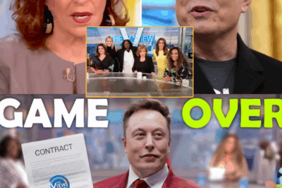 Elon Musk IGNITES Media Firestorm: Labels The View “A Gathering of Ignorant Women” and Demands Nationwide Boycott — Hosts Fire Back with Explosive Comebacks That Rock Social Media!
