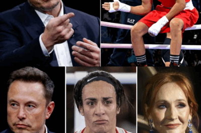 Elon Musk calls for a boycott of male athletes competing in women’s competitions and proposes massive penalties for cheating