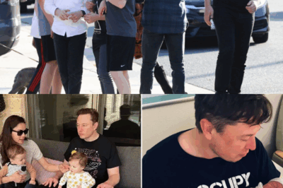 SH0CKING NEWS: Elon Musk’s obsession with fathering numerous children has the world on edge