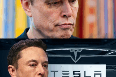 Elon Musk Sets Record for Lowest-Paid CEO with $0 Salary from Tesla Despite Boosting Company Value by Over 2000%