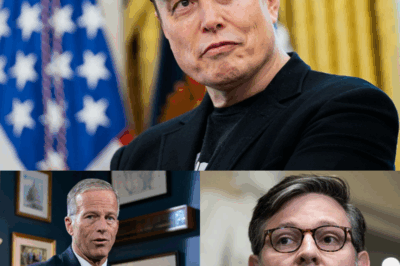 SH*CKING: Musk faces fierce backlash as Johnson and Thune fire back