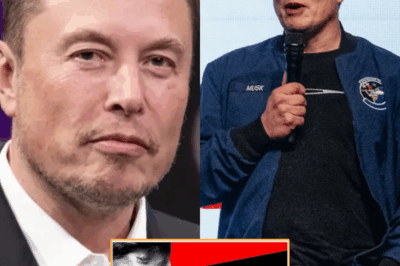 BREAKING NEWS: Elon Musk Faces Major Setbacks Losing Both Reputation and Opportunities