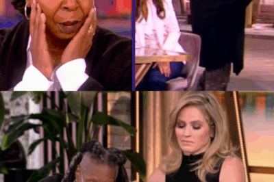 UNBELIEVABLE SCENE: Whoopi Goldberg STOPS The View Live—Stuns Audience With Fierce On-Air Scolding! Tension Explodes as Co-Hosts Scramble—Was It Crowd Control or Classic Diva Drama? Find Out What Really Happened!