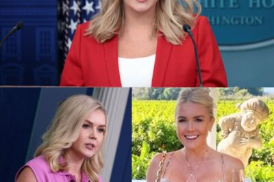 The much-discussed photos of Karoline Leavitt at a press gaggle, wearing a dress that “doesn’t fit her”