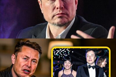 At 54, Elon Musk FINALLY Breaks Silence on His Secret Meetings With Epstein—Bombshell Accusation Rocks Trump and America