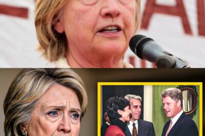 At 77, Hillary Clinton has finally confirmed the truth about the relationship between Jeffrey Epstein and her husband, Bill Clinton