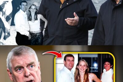 Prince Andrew at 64 Finally Breaks His Silence: The Shocking Truth About Jeffrey Epstein and “That Girl” Revealed! Secret Confession Ignites Global Outrage, Royal Family in Crisis, and Hidden Details Exposed — What Did Epstein Really Tell the Queen’s Son?