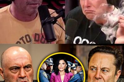Joe Rogan and Elon Musk Expose the Untold Truth About Jeff Bezos’s Wife: The Viral Podcast Bombshell That’s Shaking Billionaire America!