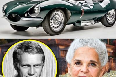 Steve McQueen’s Secret Fortune: The Hidden Vault, Family Betrayals, and the $200 Million Empire Hollywood Tried to Bury