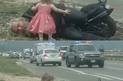 Little Girl in Princess Dress Discovers Unconscious Stranger in Ditch—Her Incredible Act of Bravery Stuns Entire Town!