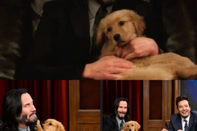 Keanu Reeves’ Secret Life: The Untold Stories of Hollywood’s Kindest Superstar!