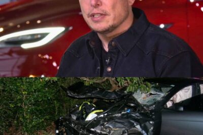 Tesla received a deadly verdict: Elon Musk is stunned, the future of self-driving robot taxis is shattered