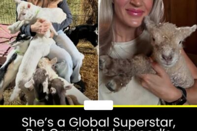 “Fans Can’t Believe It: Carrie Underwood’s Shocking New ‘Granny Hobby’ Has the Internet Obsessed