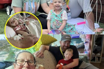 A Little Girl’s Battle for Life: The Heartbreaking Fight of Annakate Lores—How a Small Alabama Town Is Rallying Behind Its Bravest Daughter
