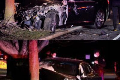 Just 7 Minutes After Leaving the Dealership, Alabama Man’s Dream Car Turns into a $14,000 Nightmare—Insurance Loophole Leaves Him on the Hook for Luxury Maserati Crash!”
