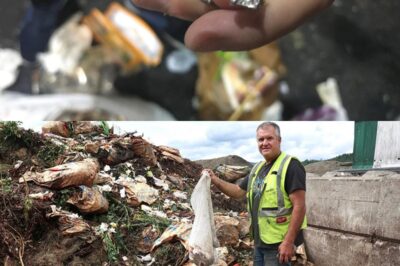 “She Lost Her Wedding Rings in the Trash—What Her Husband Did Next Will Melt Your Heart!”