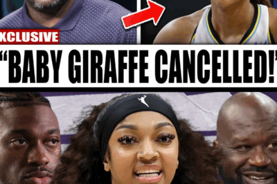 UNEXPECTED CHALLENGE: Why Is Reebok’s Angel Reese Partnership Drawing SO MUCH ATTENTION? SHAQUILLE O’NEAL’s Bold Move Faces SURPRISING REACTIONS As Fans Wonder—Will This Be The Most TALKED-ABOUT Basketball Endorsement Of The Year?