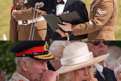 Royal Ceremony Touches Hearts as Veteran Delivers Unexpected Salute to King Charles—A MOVING Moment of RESPECT and COURAGE Brings EMOTION to the Monarch Facing Cancer, Leaving Attendees Reflecting on the Power of Support