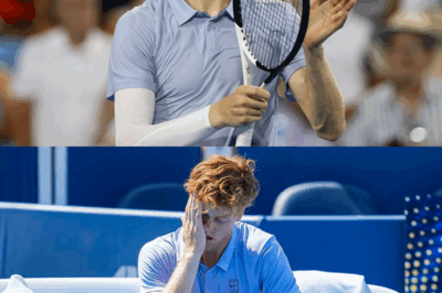 UNEXPECTED MOMENT: Cincinnati Open Crowd SURPRISES Jannik Sinner With Unusual Chant, Leaving Spectators CURIOUS About the True Story Behind This RARE Scene on the Court—Discover What Sparked Such an EMOTIONAL Reaction!