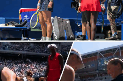US Open match CHAOS as umpire and BOTH PLAYERS cause UNBELIEVABLE disruption, “DESTROYING” the court while desperately searching for a MYSTERIOUS lost item—FANS left SHOCKED and CURIOUS as the tournament takes a DRAMATIC turn nobody saw coming