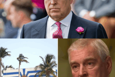 Why Prince Andrew Became the Most HATED Man in the Monarchy! Imagine being born into the highest form of privilege, and deciding to waste every last bit of it. This is the story of Prince Andrew, a man who is by far the greatest stain on the royal family’s name. While his mother received titles of dignity and tradition, Andrew earned a very different set of titles. The media and public crowned him titles like “Randy Andy” and “Air Miles Andy,” names that stuck for decades and still follow him today. Those nicknames weren’t jokes and neither were the actions of Prince Andrew, so hang on tight because by the end of this article, you will know why everyone truly hates Prince Andrew.