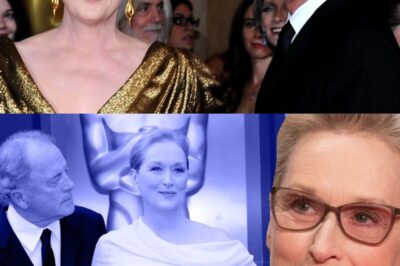 THEIR QUIET SPLIT AFTER 45 YEARS: WHAT REALLY HAPPENED BETWEEN MERYL STREEP AND DON GUMMER