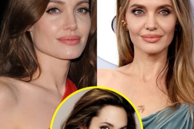 Angelina Jolie Drops BOMBSHELL About America: Says She ‘LOVES’ the U.S. But No Longer Recognizes It